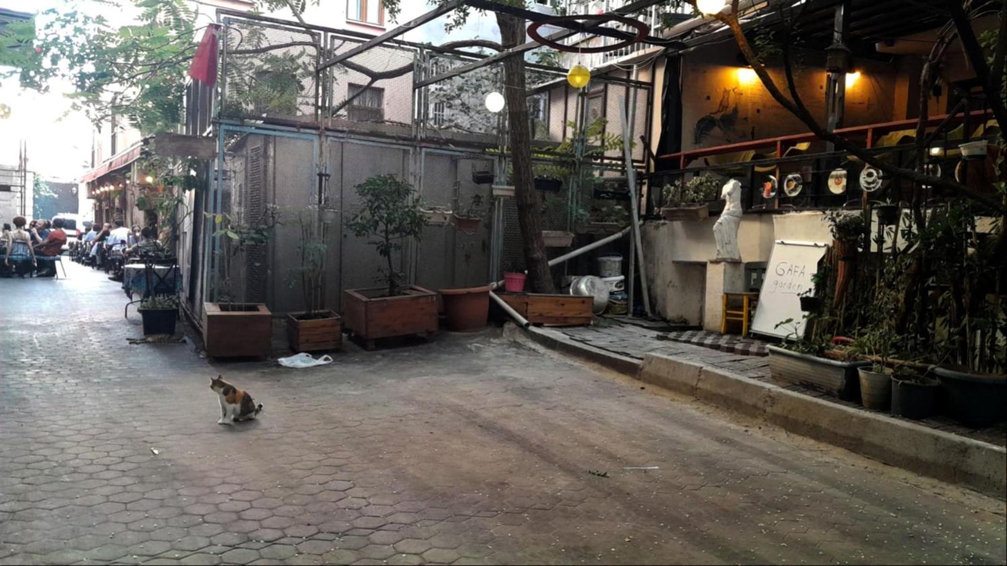 gafa garden Hostel Istanbul Exteriör bild